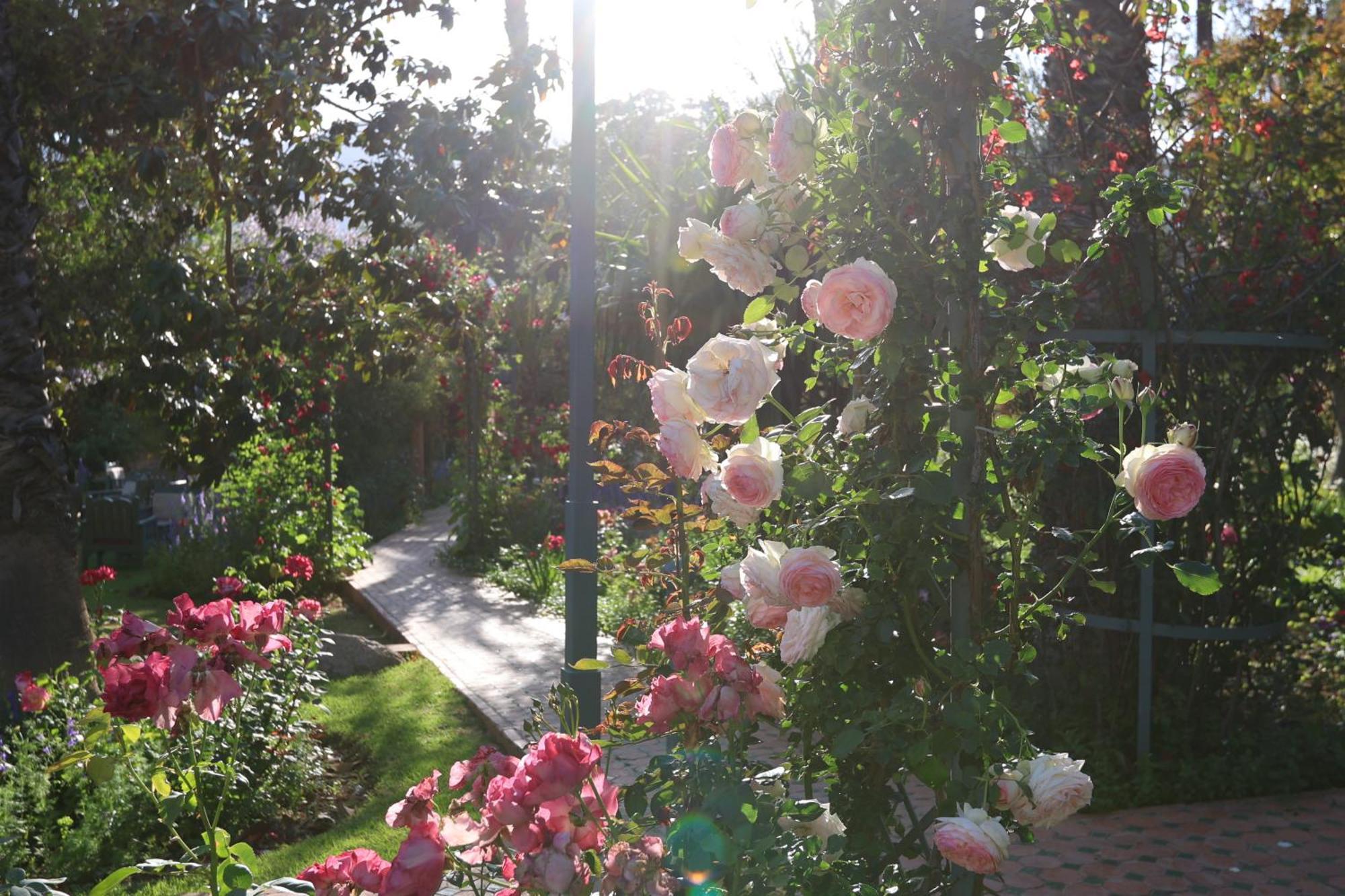 Domaine De La Roseraie Resort ويرڭان المظهر الخارجي الصورة